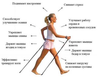 Скандинавская ходьба – отзывы, техника, противопоказания и выбор снаряжения Скандинавская ходьба – отзывы, техника, противопоказания и выбор снаряжения