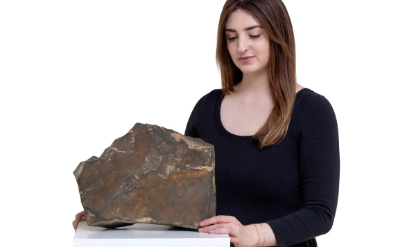 На аукционе Sotheby's появился настоящий кусочек другой планеты На аукционе Sotheby's появился настоящий кусочек другой планеты