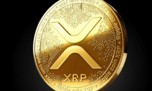 Критик XRP говорит, что токен вырастет до 20 000 долларов за монету