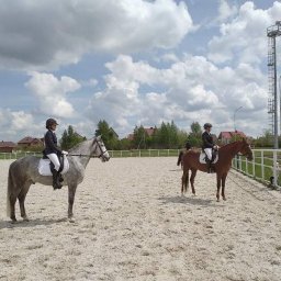 При проверке в областной конноспортивной школе обнаружены нарушения финансово-хозяйственной деятельности